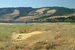 Rowena Plateau above Columbia R w/ dry vernal pool