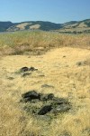 Rowena Plateau above Columbia R w/ dry vernal pool