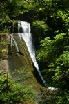 Wolf Creek Falls, framed by Bigleaf Maples