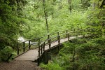 Bridge on Wolf Creek Trail