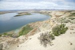 Greasewood on sandy cliff above Hanford Reach of Columbia River