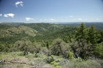 Aldrich Mountains landscape w/ Mountain Mahogany fgnd