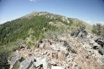 Aldrich Mountains panoramic landscape w/ Mountain Mahogany fgnd, Fields Peak on ridge [pan 1 of 14]