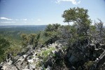 Aldrich Mountains panoramic landscape, Mountain Mahogany fgnd [pan 8 of 14]