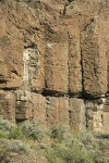 Big Sagebrush at base of columnar basalt cliff