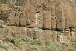 Big Sagebrush at base of columnar basalt cliff