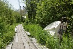 Finn Slough boardwalk