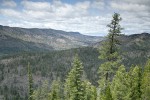 View to Scott Valley, Klamath Ranges w/ Jeffrey Pine & Incense Cedar forest on serpentine