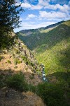 Fir & Ponderosa Pine forest, Gray Pines on Bell Creek canyon walls at Trinity River