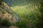 Fir & Ponderosa Pine forest, Gray Pines on Bell Creek canyon walls at Trinity River