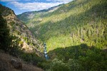 Fir & Ponderosa Pine forest, Gray Pines on Bell Creek canyon walls at Trinity River w/ Deer Brush fgnd