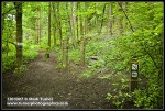 Douglas-fir Trail entrance at Arboretum Drive