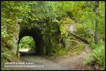 Tunnel through Chuckanut sandstone