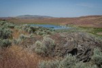 Sagebrush among grasses, lichen-covered basalt near Susan Lake