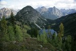 Subalpine Larches above Lake Ann