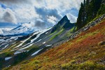 Mt. Baker in clouds beyond Coleman Pinnacle on Ptarmigan Ridge w/ Cascades Blueberries fgnd