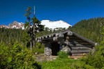 Mazama Park shelter w/ Mountain Hemlocks, Yellow Cedars, view to Mt. Baker