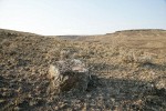 Stiff Sagebrush among dry grasses w/ lichen-covered basalt boulder