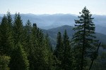 Klamath mountains conifer landscape w/ Douglas-fir; Ponderosa Pine; Knobcone Pines [pan 1 of 6]