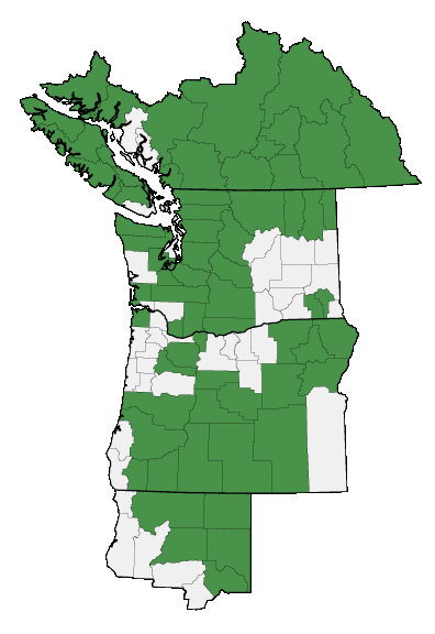 Map of where Erigeron peregrinus is found