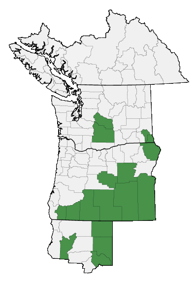 Map of where Navarretia sinistra is found