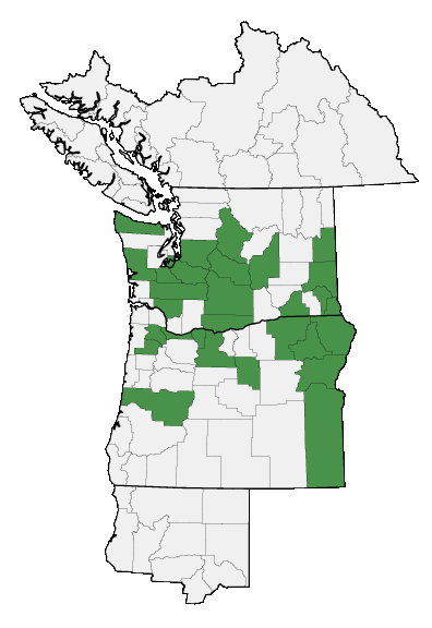 Map of where Lathyrus pauciflorus is found