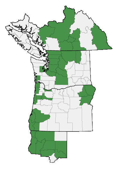 Map of where Rhododendron columbianum is found