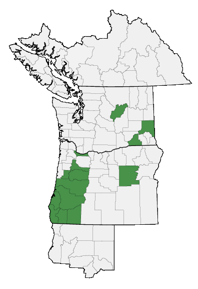Map of where Lomatium hallii is found