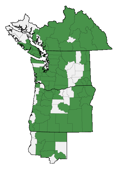 Map of where Madia glomerata is found