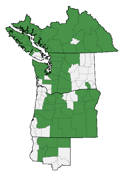 Map of where Erythranthe lewisii is found