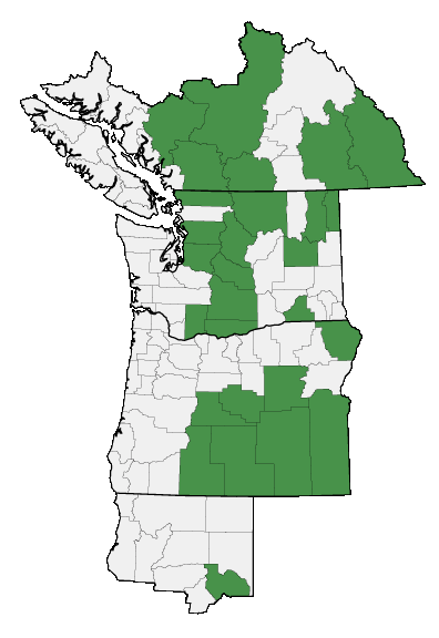 Map of where Packera streptanthifolia is found