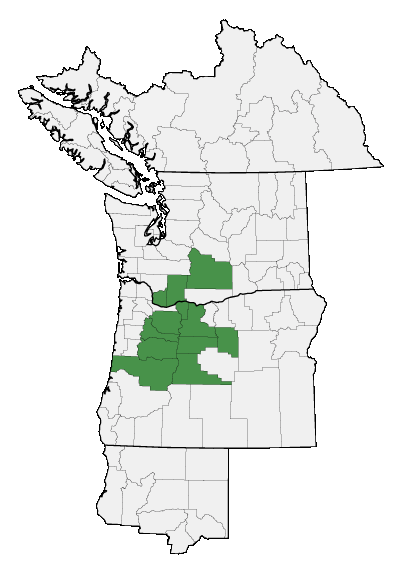 Map of where Penstemon euglaucus is found