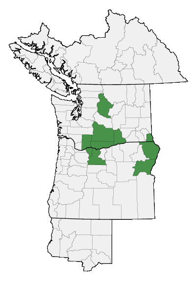 Map of where Penstemon glandulosus is found