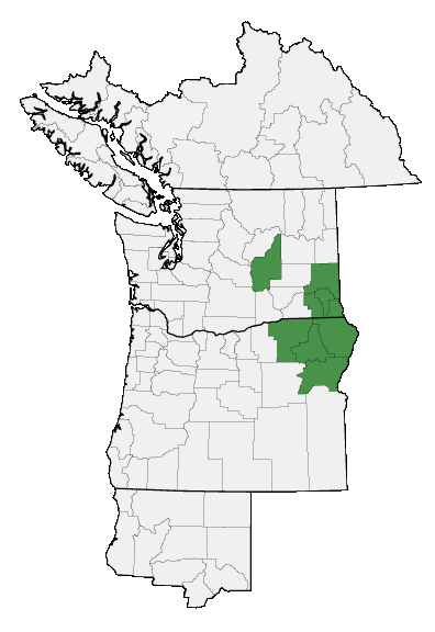 Map of where Penstemon pennellianus is found