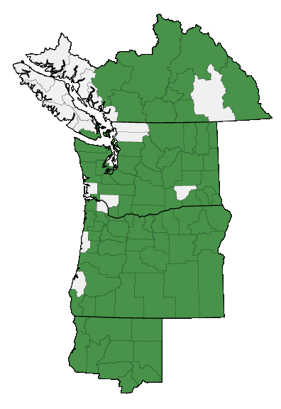 Map of where Potentilla gracilis is found