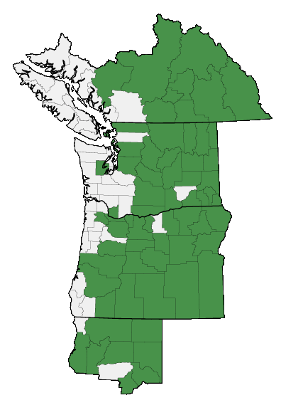 Map of where Rosa woodsii is found