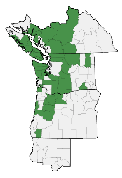Map of where Micranthes rufidula is found