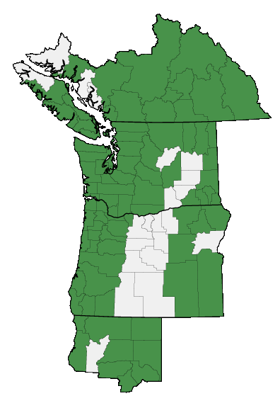Map of where Spergularia rubra is found