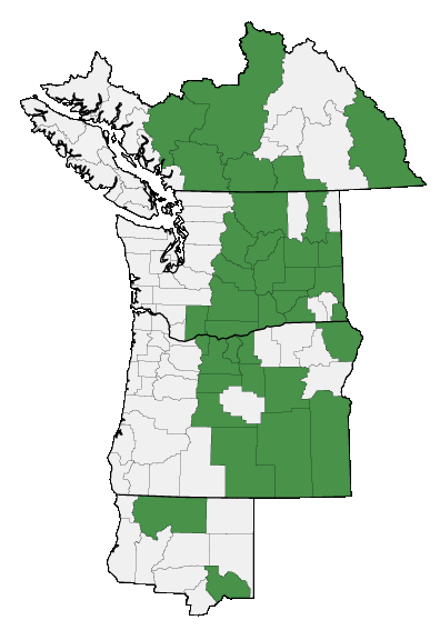 Map of where Stephanomeria tenuifolia is found
