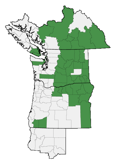 Map of where Triteleia grandiflora var. grandiflora is found
