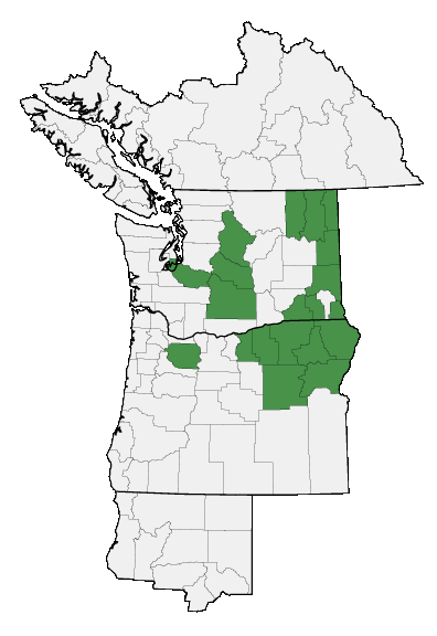Map of where Trillium petiolatum is found