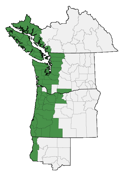 Map of where Triphysaria pusilla is found