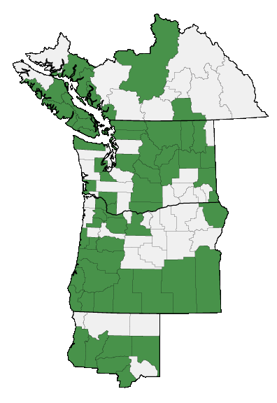 Map of where Trifolium variegatum is found