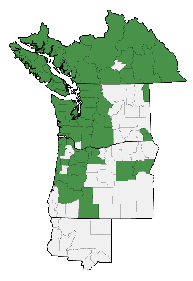Map of where Vaccinium ovalifolium is found