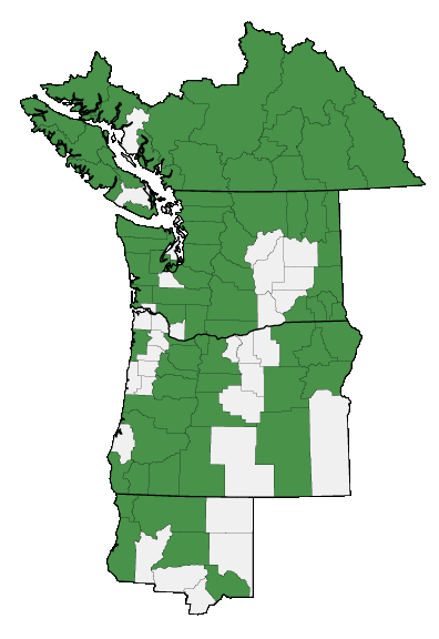 Map of where Vaccinium membranaceum is found