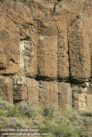 Big Sagebrush at base of columnar basalt cliff