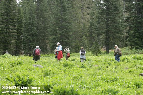 Native Plant Society field trip participants botanizing on Donegan Prairie