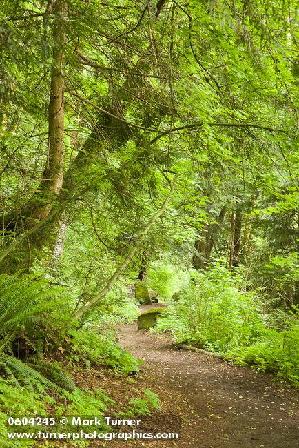 Squires Lake trail