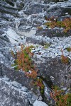 Chain Lakes Trail